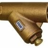 Flash Sale 🎉 FNW® Figure 510 2 x 2 in. 250# Wye Strainer 🎉