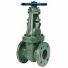 Brand new 🎁 NIBCO F-637-31 2-1/2 in. Ductile Iron Full Port Flanged Gate Valve 😀