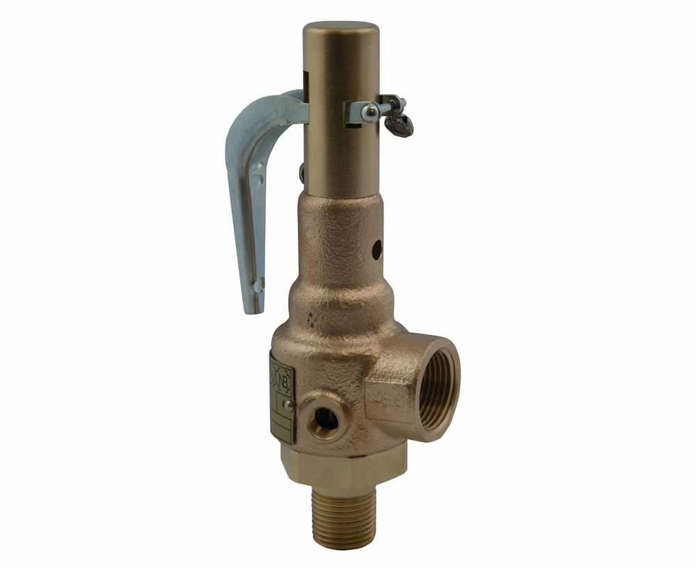 Best Sale ๐ Apollo Valves 19 Series 1-1/4 x 1-1/2 in. Bronze Male x Female 150# Relief Valve โค๏ธ 1 Best Sale ๐ Apollo Valves 19 Series 1-1/4 x 1-1/2 in. Bronze Male x Female 150# Relief Valve โค๏ธ