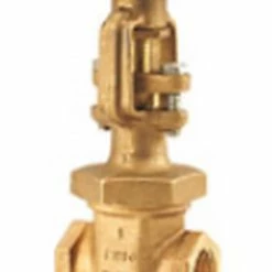 Hot Sale ⭐ NIBCO Model T1040 2 in. Bronze FNPT Gate Valve ✔️