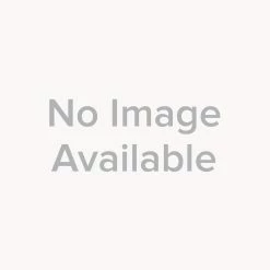 Brand new 🌟 Champion-Arrowhead 420 Series 10 in. Brass 1/2 x 3/4 in. Barbed x Threaded Wall Hydrant ⭐