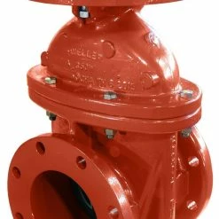 Brand new ✔️ Anvil P-2360-6 Series 6 in. Flanged Bronze, Ductile Iron and Stainless Steel Resilient Wedge Gate Valve 👍