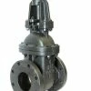Buy 🧨 Milwaukee Valve F-2885-M 2 in. Cast Iron Flanged Gate Valve ⌛