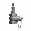 Best deal 💯 James Jones Company J-3700 Series Bronze Hydrants FIP x Hose 4 x 2-1/2 in. Cap 🧨